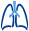 pneumologenverband.de icon