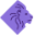 polarisalliance.pl icon