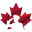 policeonguard.ca icon