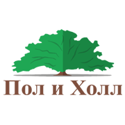poliholl.ru icon