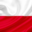 polishfortmyers.com icon