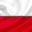 polishtampa.com icon