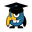 poliversity.it logo