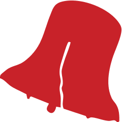 polkelections.com icon