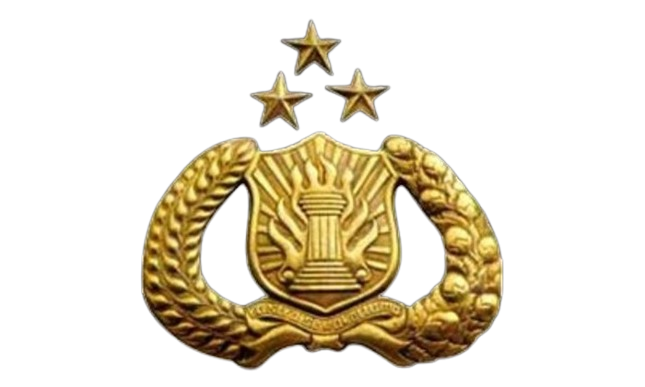 polresngada.id icon