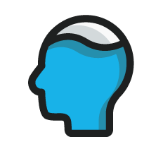 poolbrain.com icon