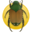 popillia.eu icon
