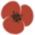 popinaswimwear.com icon