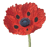 poppyshandcraftedgifts.co.uk icon