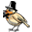 pornodrozd.xyz icon