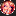 pornohype.info icon