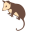 The Woods at Possum Run logo