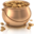 potofgoldestate.com icon