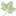 poulsbodentalcare.com icon