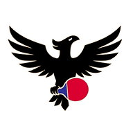 powerpongtt.com icon