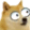 ppdy.fr icon