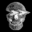 ppimchicago.com icon