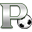 pra-ry.com icon