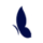 pragmind.it icon