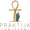praktijksanjeevni.nl icon