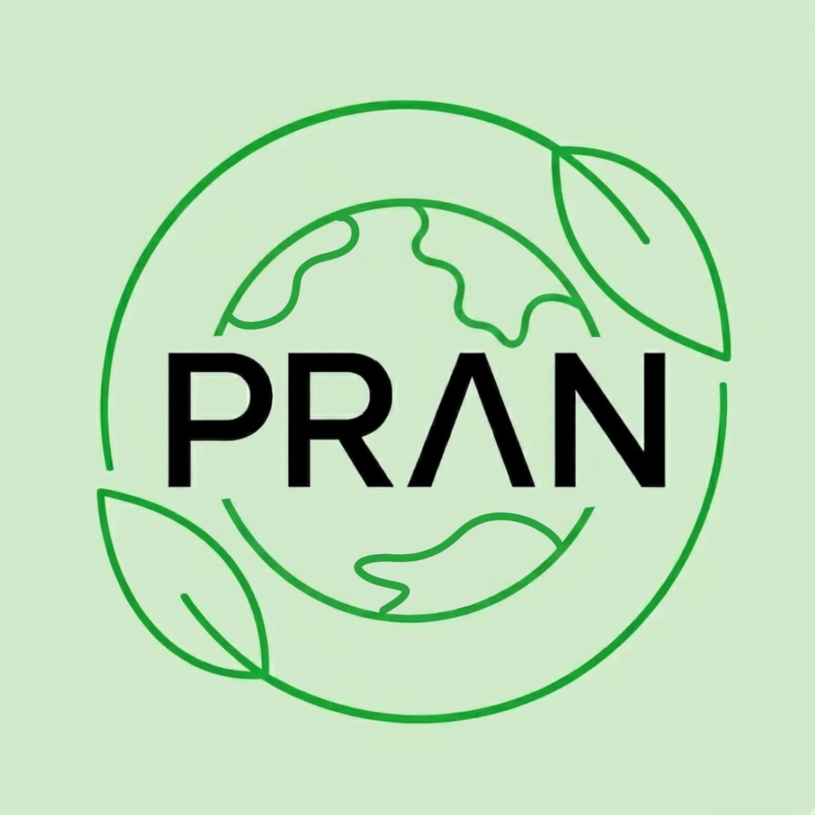 pranglobal.com icon