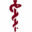praxis-dr-berndt.de icon