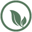 prayvine.org icon