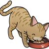preciouscat.com icon