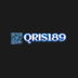 preciousplating.com icon
