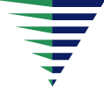 precisionvs.com icon