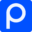 predize.com.br logo