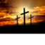 preeminenceofchrist.net icon