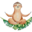 preguiste.com.br icon
