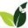 premierushemp.com icon