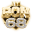 premiolaureldeoro.com icon