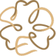 presidentalesthetics.com icon