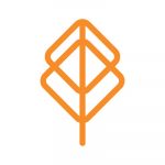 primaryservices.com icon