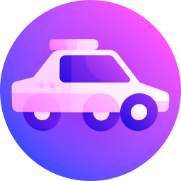 primarytireandauto.com icon