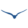 primecontact.ca icon