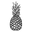primitivepineapplecollection.com favicon