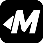 prioritymaxve.com icon