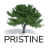 pristineperioimplants.com icon
