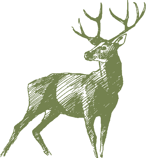 privathotels-ismaning.de icon