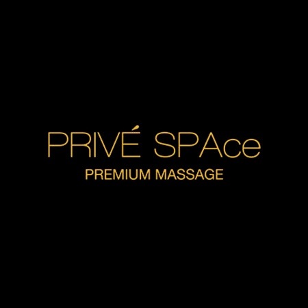 privespace.com icon