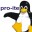 pro-ite.de icon