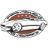 pro-touring.com icon