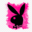 probelnet.com icon