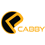 procabby.com icon