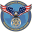 processserversofhouston.com icon