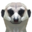 procurence.com icon